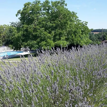 Le Clos-lascazes Maison d'hôtes Le Buisson-de-Cadouin