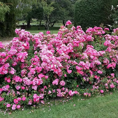 Pensionat Le Clos-lascazes