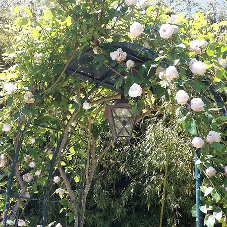 Pensionat Le Clos-lascazes Paleyrac