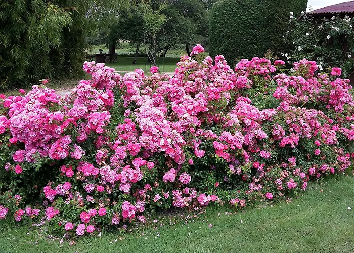 게스트하우스 Le Clos-lascazes